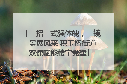一招一式强体魄，一镜一景展风采 积玉桥街道双课赋能楼宇党建