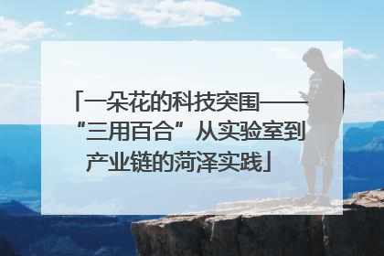 一朵花的科技突围——“三用百合”从实验室到产业链的菏泽实践