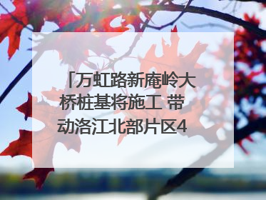 万虹路新庵岭大桥桩基将施工 带动洛江北部片区4个乡镇的发展