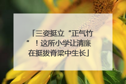 三姿挺立“正气竹”！这所小学让清廉在挺拔脊梁中生长