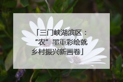 三门峡湖滨区：“农”墨重彩绘就乡村振兴新画卷