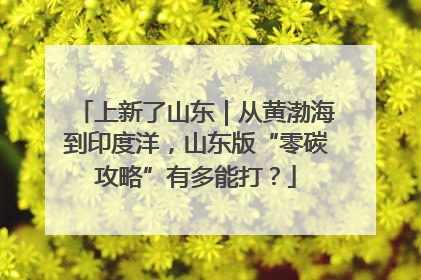 上新了山东｜从黄渤海到印度洋，山东版“零碳攻略”有多能打？