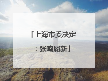 上海市委决定：张鸣履新