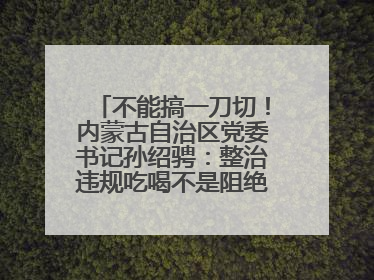不能搞一刀切！内蒙古自治区党委书记孙绍骋：整治违规吃喝不是阻绝正常人际交往、黯淡人间烟火