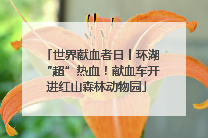 世界献血者日丨环湖“超”热血！献血车开进红山森林动物园