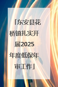 东安县花桥镇扎实开展2025年度低保年审工作
