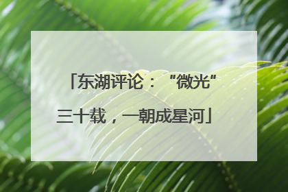 东湖评论：“微光”三十载，一朝成星河