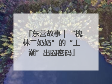 东营故事｜“槐林二奶奶”的“土潮”出圈密码