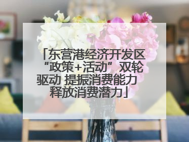 东营港经济开发区“政策+活动”双轮驱动 提振消费能力 释放消费潜力