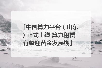 中国算力平台（山东）正式上线 算力租赁有望迎黄金发展期