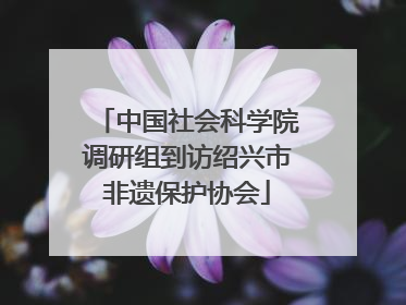中国社会科学院调研组到访绍兴市非遗保护协会