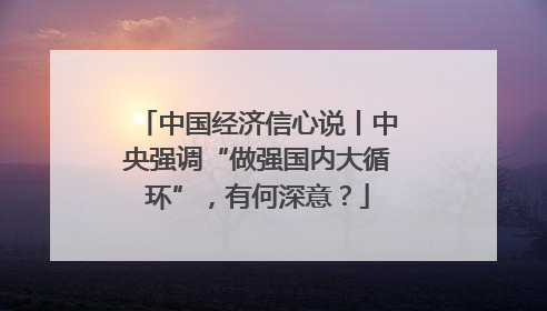 中国经济信心说丨中央强调“做强国内大循环”，有何深意？