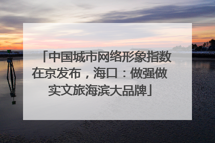 中国城市网络形象指数在京发布，海口：做强做实文旅海滨大品牌