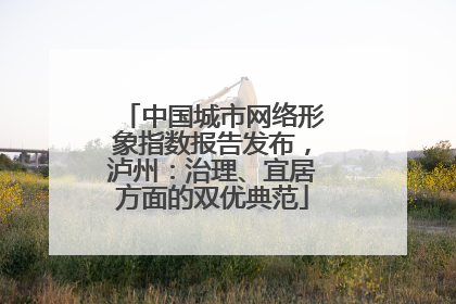 中国城市网络形象指数报告发布，泸州：治理、宜居方面的双优典范