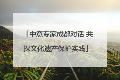 中意专家成都对话 共探文化遗产保护实践