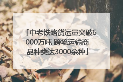 中老铁路货运量突破6000万吨 跨境运输商品种类达3000余种