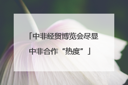 中非经贸博览会尽显中非合作“热度”