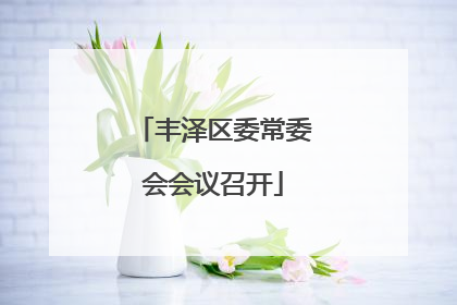 丰泽区委常委会会议召开