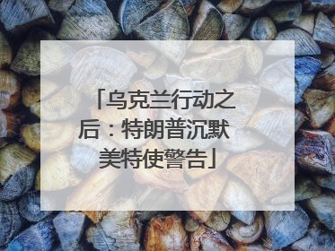 乌克兰行动之后：特朗普沉默 美特使警告
