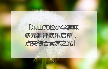 乐山实验小学趣味多元测评欢乐启幕，点亮综合素养之光
