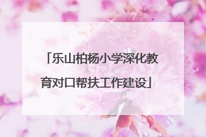 乐山柏杨小学深化教育对口帮扶工作建设