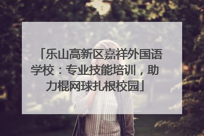 乐山高新区嘉祥外国语学校：专业技能培训，助力棍网球扎根校园