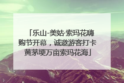 乐山-美姑·索玛花嗨购节开幕，诚邀游客打卡黄茅埂万亩索玛花海