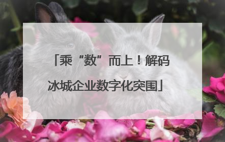 乘“数”而上！解码冰城企业数字化突围