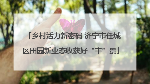 乡村活力新密码 济宁市任城区田园新业态收获好“丰”景