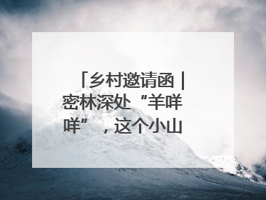 乡村邀请函｜密林深处“羊咩咩”，这个小山村如何逆袭？