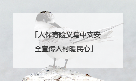 人保寿险义乌中支安全宣传入村暖民心