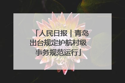 人民日报｜青岛出台规定护航村级事务规范运行