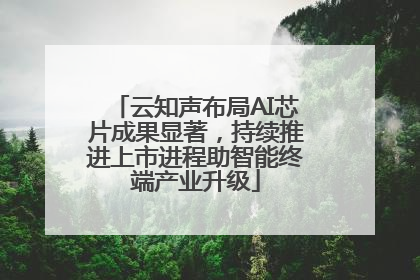 云知声布局AI芯片成果显著，持续推进上市进程助智能终端产业升级