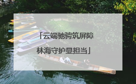 云端驰骋筑屏障 林海守护显担当