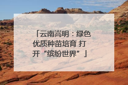 云南嵩明：绿色优质种苗培育 打开“缤纷世界”
