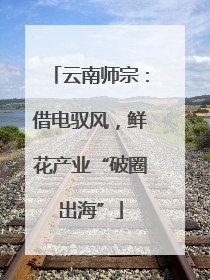 云南师宗：借电驭风，鲜花产业“破圈出海”