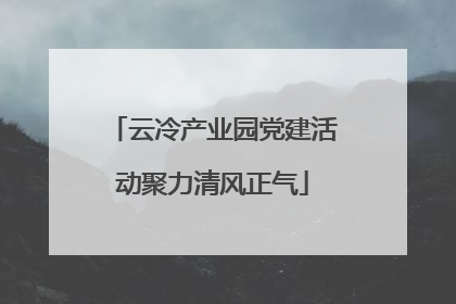云冷产业园党建活动聚力清风正气