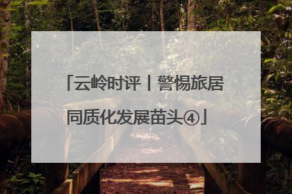 云岭时评丨警惕旅居同质化发展苗头④
