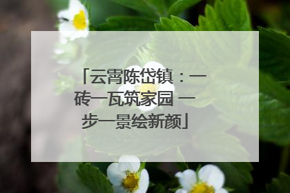 云霄陈岱镇：一砖一瓦筑家园 一步一景绘新颜