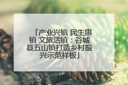 产业兴镇 民生惠镇 文旅活镇：谷城县五山镇打造乡村振兴示范样板