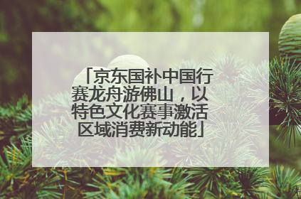 京东国补中国行赛龙舟游佛山，以特色文化赛事激活区域消费新动能