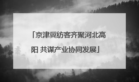 京津冀纺客齐聚河北高阳 共谋产业协同发展