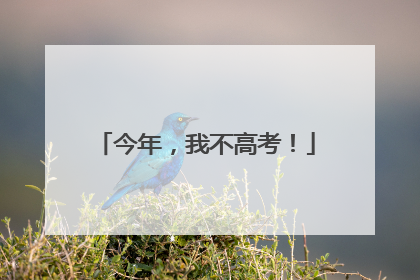 今年，我不高考！
