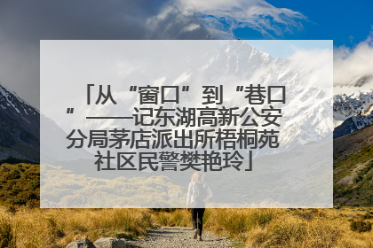 从“窗口”到“巷口”——记东湖高新公安分局茅店派出所梧桐苑社区民警樊艳玲