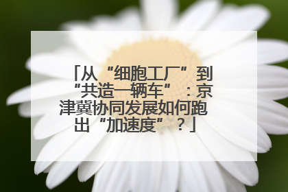 从“细胞工厂”到“共造一辆车”：京津冀协同发展如何跑出“加速度”？
