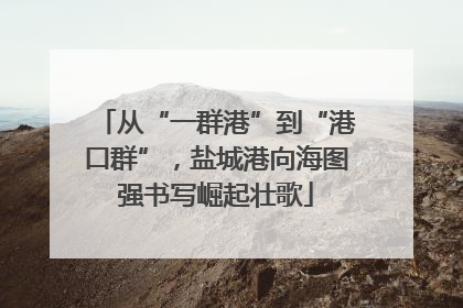从“一群港”到“港口群”,盐城港向海图强书写崛起壮歌