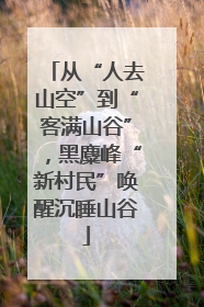 从“人去山空”到“客满山谷”，黑麋峰“新村民”唤醒沉睡山谷