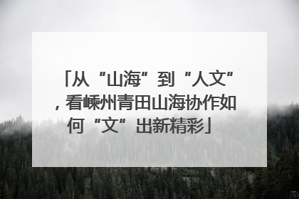 从“山海”到“人文”，看嵊州青田山海协作如何“文”出新精彩