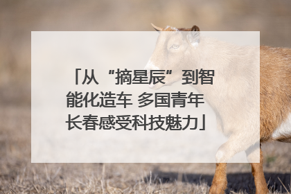 从“摘星辰”到智能化造车 多国青年长春感受科技魅力