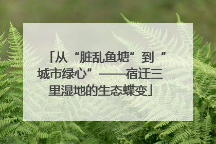 从“脏乱鱼塘”到“城市绿心”——宿迁三里湿地的生态蝶变